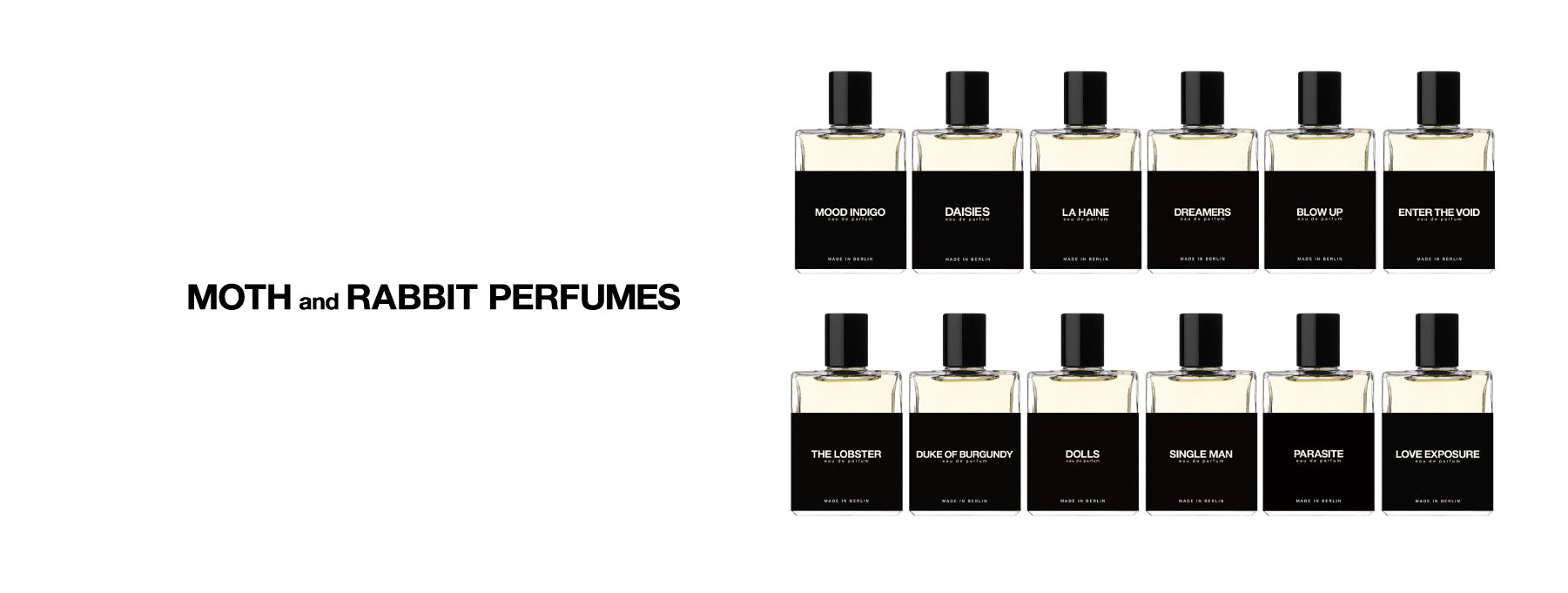 MOTH and RABBIT – PERMANENTE WORLD